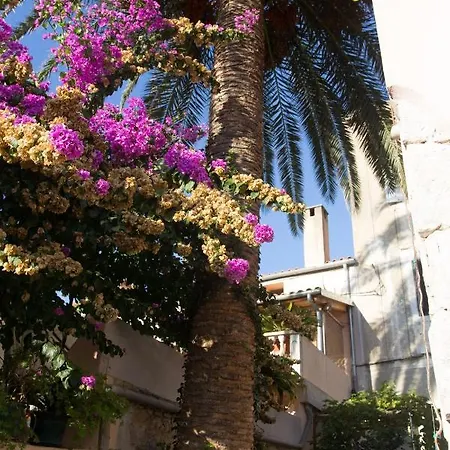 Apartments With Wifi Mali Losinj Mali Losinj